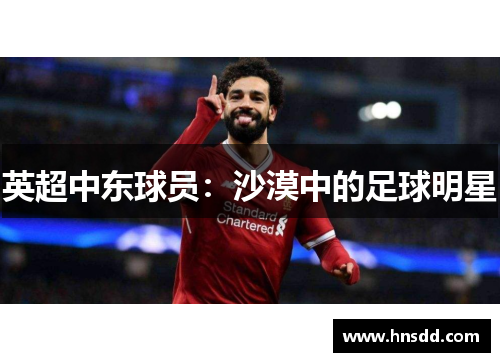 英超中东球员：沙漠中的足球明星